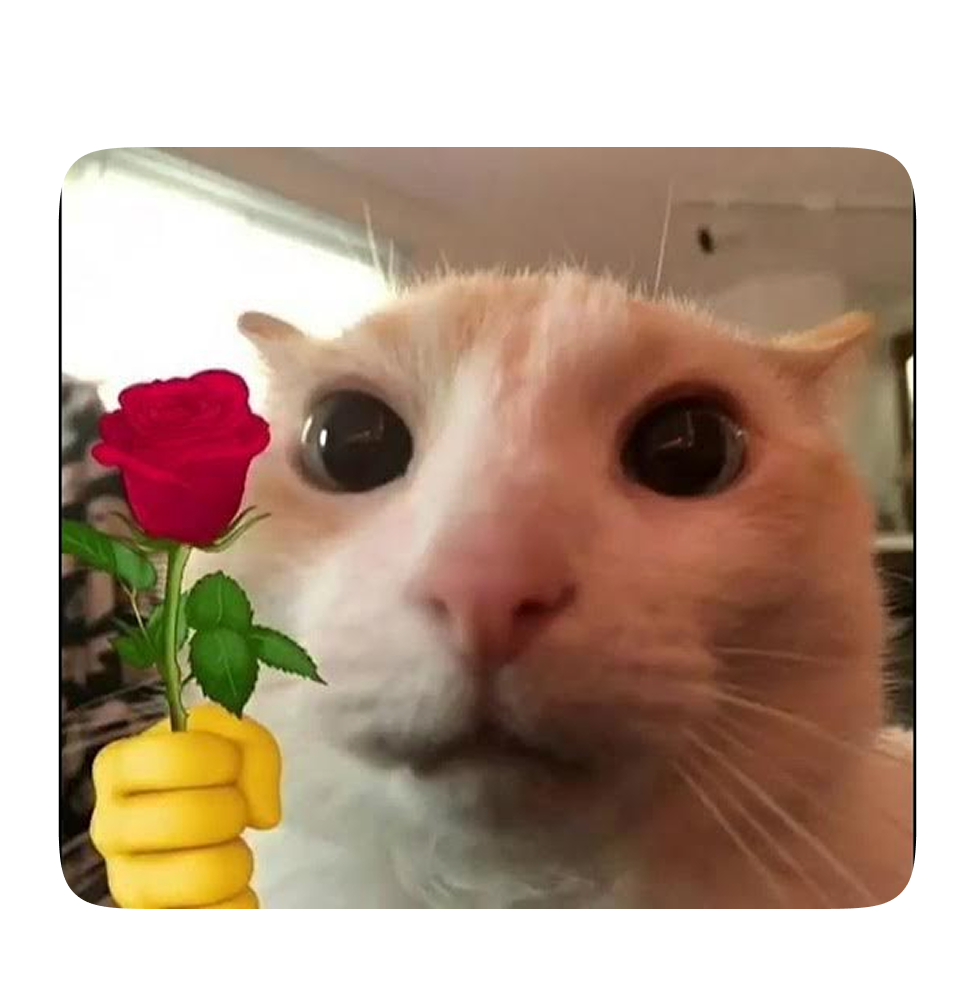 Reward